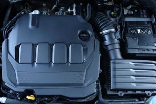 VOLKSWAGEN Golf usata, con Limitatore di velocità
