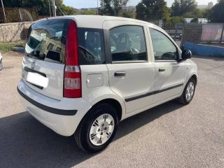 FIAT Panda usata 5