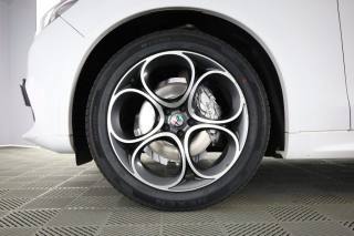 ALFA ROMEO Stelvio usata 8