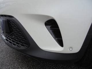 SMART Smart usata, con Antifurto