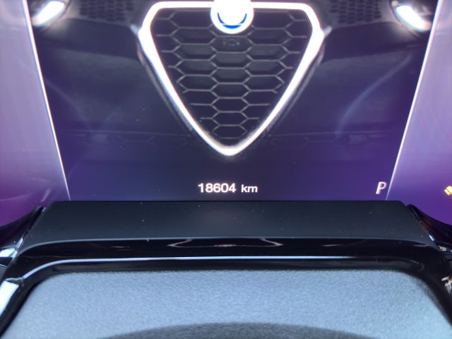 ALFA ROMEO Tonale usata, con Servosterzo