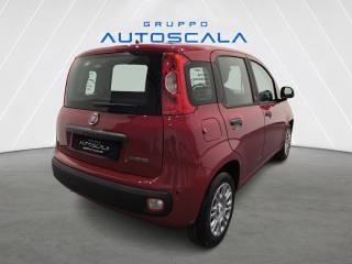 FIAT Pandina usata, con Alzacristalli elettrici