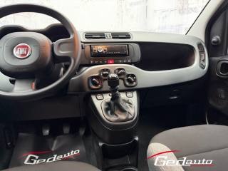 FIAT Panda usata, con Servosterzo