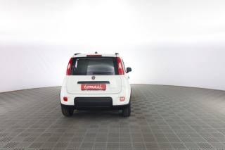 FIAT Panda usata 4