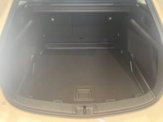 SUZUKI Swace usata, con Cruise Control