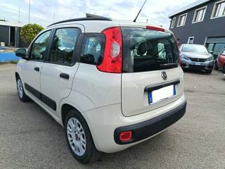 FIAT Panda usata 5