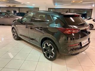 OPEL Grandland usata, con Chiusura centralizzata