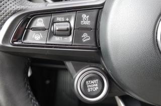 ALFA ROMEO Stelvio usata, con Cronologia tagliandi