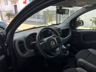 FIAT Panda usata 35