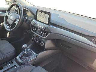 FORD Focus usata, con Servosterzo