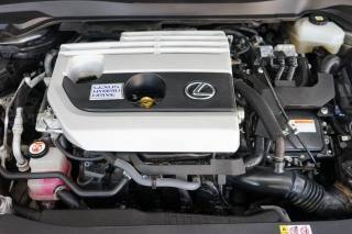 LEXUS UX 250h usata 37