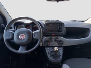 FIAT Panda usata 10
