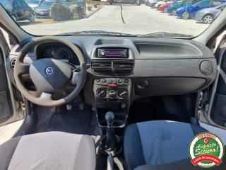 FIAT Punto usata 10