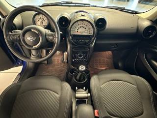 MINI Paceman usata, con Cronologia tagliandi