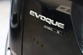 LAND ROVER Range Rover Evoque usata, con Cronologia tagliandi