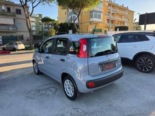 FIAT Panda usata, con Antifurto