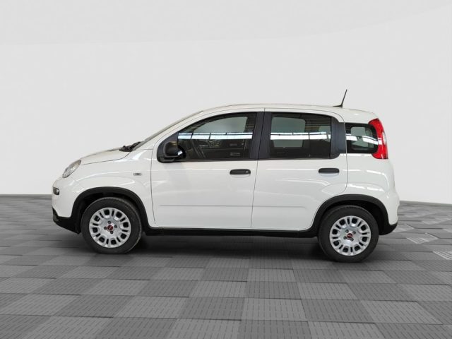 FIAT Panda usata 1