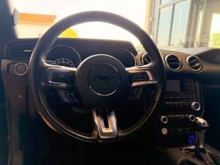 FORD Mustang usata, con Fendinebbia