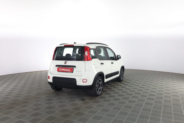 FIAT Panda usata 3