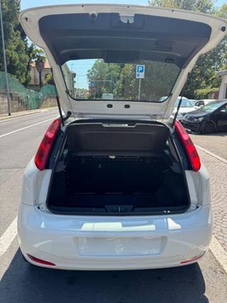FIAT Punto usata 14
