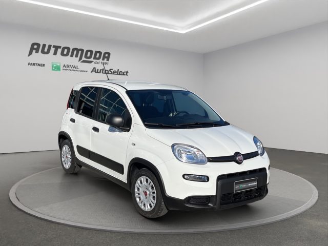 FIAT Panda usata, con Airbag Passeggero