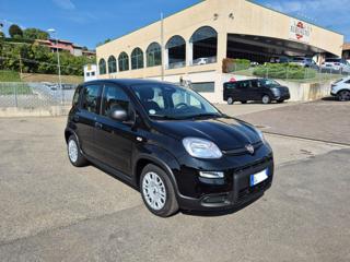 FIAT Panda usata, con Antifurto