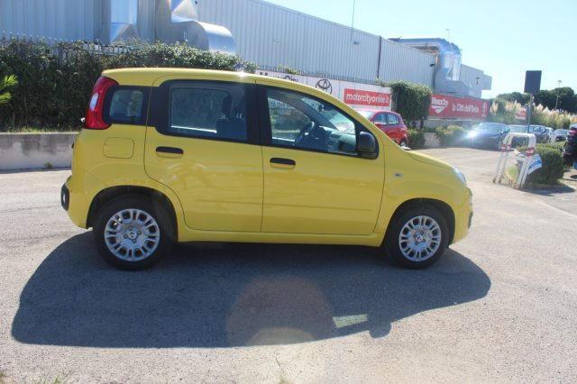 FIAT Panda usata 19