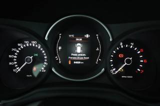 FIAT 500L usata 6