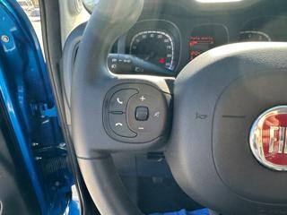 FIAT Panda Cross usata 57