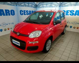 FIAT New Panda usata, con Airbag laterali