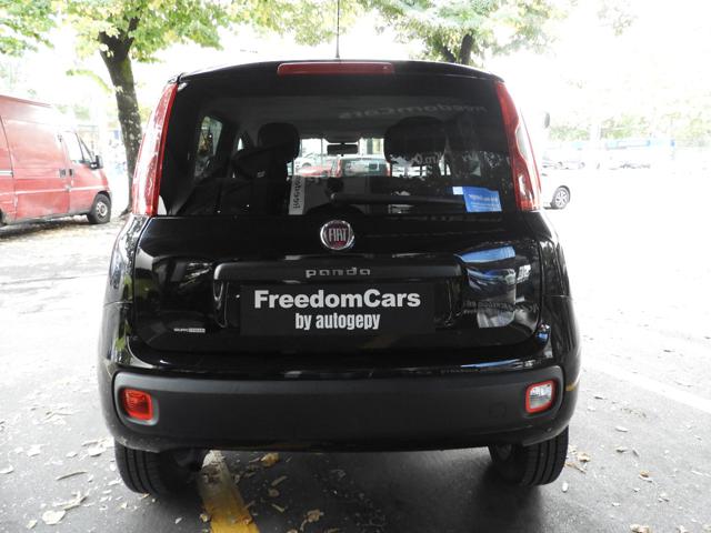 FIAT Panda usata, con Alzacristalli elettrici