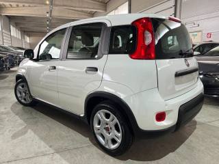 FIAT Panda usata, con Airbag Passeggero