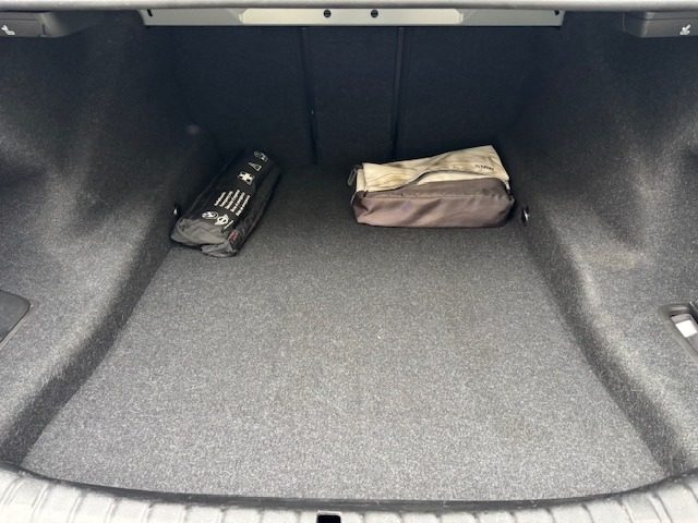 BMW 520 usata, con Immobilizzatore elettronico