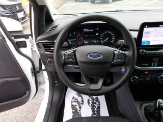 FORD Fiesta usata, con Cronologia tagliandi