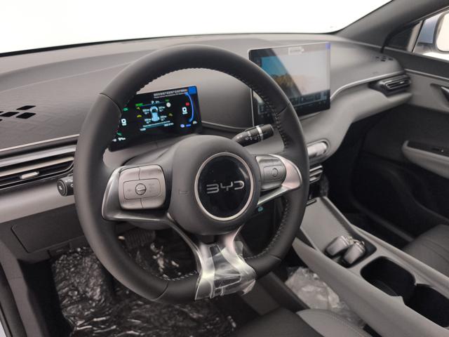 BYD Dolphin Surf usata, con Controllo automatico clima