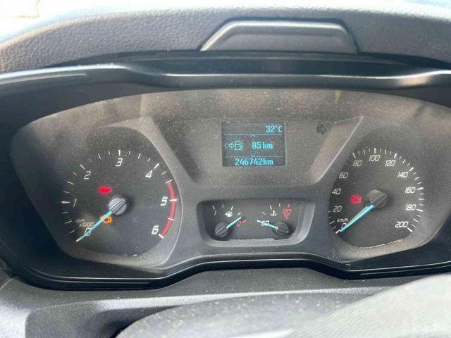 FORD Transit usata, con Fendinebbia