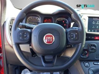 FIAT Panda Cross usata, con Immobilizzatore elettronico