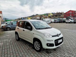 FIAT Panda usata, con ESP