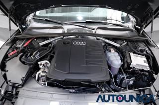 AUDI A4 usata 66