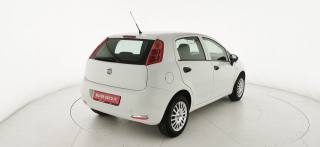 FIAT Punto usata 30
