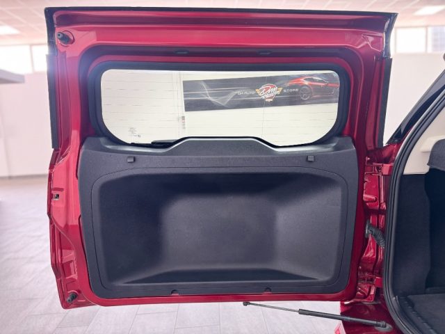 FORD EcoSport usata, con Vivavoce