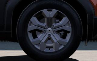 DACIA Duster usata, con Chiusura centralizzata