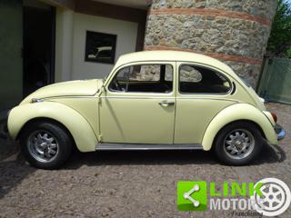 VOLKSWAGEN Maggiolone usata 22