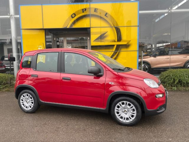 FIAT Panda usata, con Airbag
