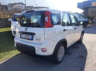 FIAT Panda usata, con Chiusura centralizzata