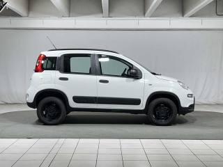 FIAT Panda usata, con Climatizzatore