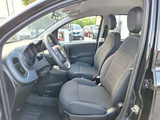 FIAT Panda usata, con Servosterzo