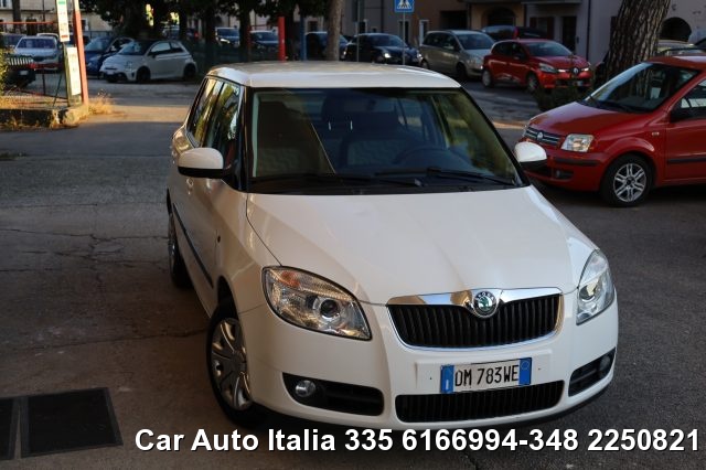 SKODA Fabia usata 76