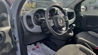 FIAT Panda usata, con Controllo trazione
