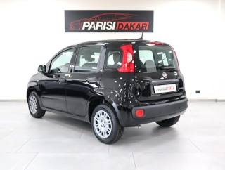 FIAT Panda usata, con Antifurto